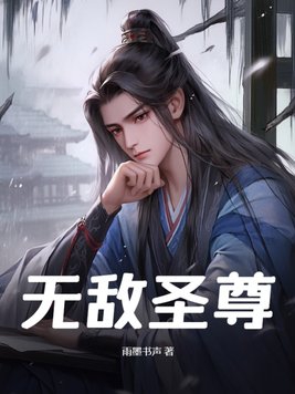 无敌圣师系统